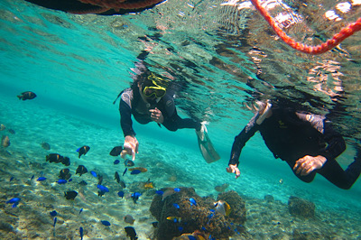 シュノーケル女性参加