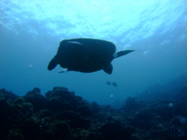 DSCF9462