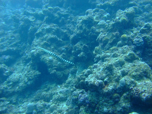 DSCF9468
