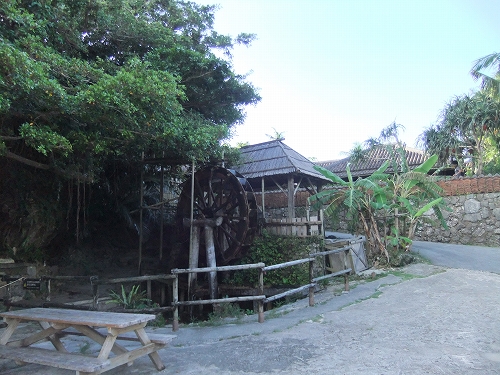 DSCF7727.jpg
