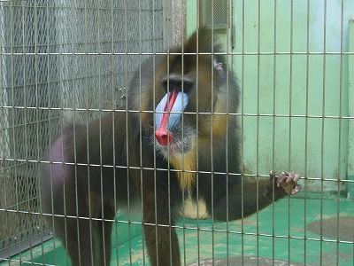 CIMG5230.jpg