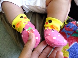 DSCF5306.jpg