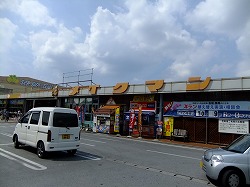 DSCF5313.jpg